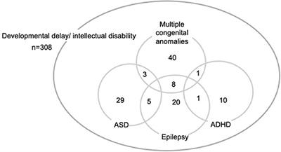 Chromosomal Microarray in Children With Developmental Delay: The Experience of a Tertiary Center in Korea